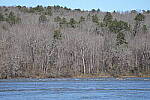 Click to see Y-WB-A1-DSC01539.JPG