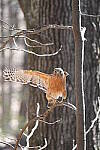 Click to see Y-WB-A1-DSC01974.JPG