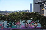 Click to see Y-WB-A1-DSC02172.JPG