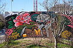 Click to see Y-WB-A1-DSC02404.JPG