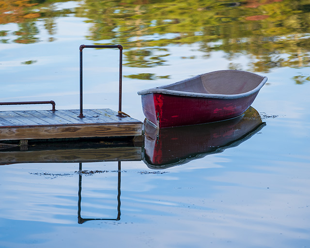 Sony A1 Review: Field Test -- Gallery Image