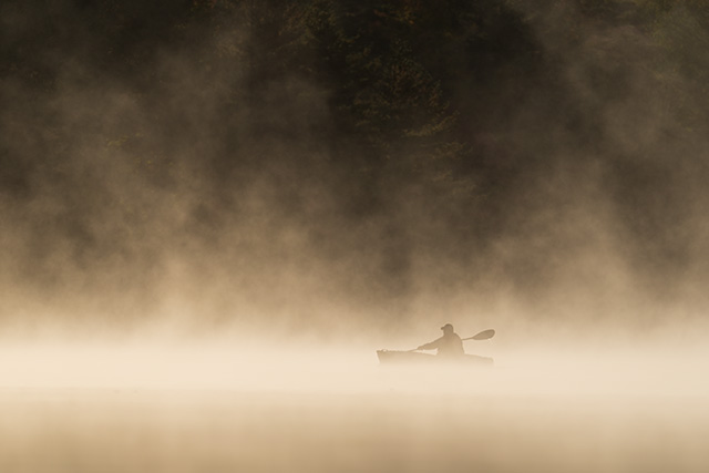 Sony A1 Review: Field Test -- Gallery Image