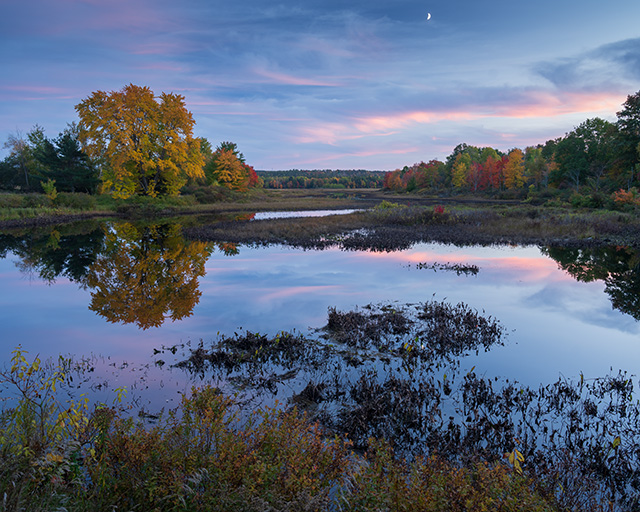 Sony A1 Review: Field Test -- Gallery Image