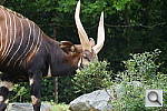 Click to see YDDSC00020.JPG