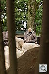 Click to see YDSC00057.JPG