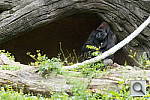 Click to see YDSC00285.JPG