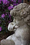 Click to see Y-DSC00302.JPG