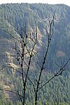 Click to see YDSC00033.JPG