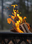Click to see Y-A-55MM-184-EDIT.JPG