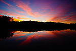 Click to see Y-DSC01034-16MM.JPG