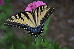 Click to see YA-KIT-LENS-167.JPG