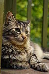 Click to see YD-35MM-FE-LENS-248.JPG