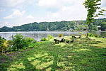 Click to see YG-16MM-LENS-283.JPG