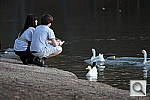 Click to see YDSC00201.JPG