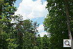 Click to see AA58PINE_IDCdefaults.JPG