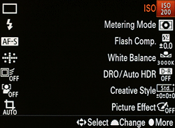 Sony A58 review -- ISO sensitivity selection