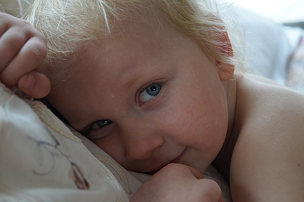 Sony A58 review -- Sample photo