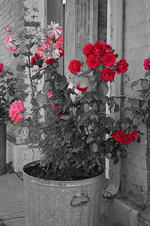 Sony A58 review -- Partial Color filter