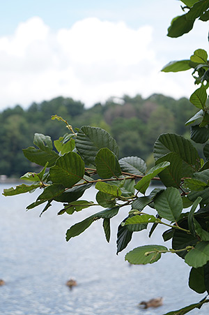 Sony A58 review -- Sample photo