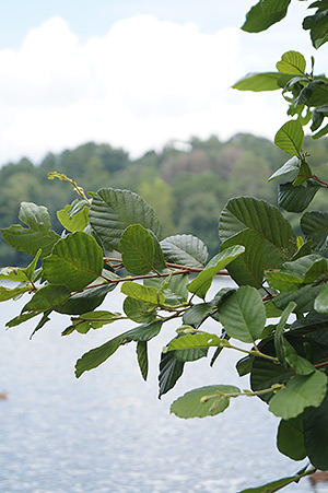 Sony A58 review -- Sample photo with DRO Auto
