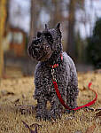 Click to see Y-56mm-3170-EDT.JPG
