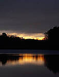Click to see Y-56mm-3202-EDT.JPG