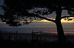 Click to see Y-56mm-3223-EDT.JPG