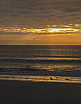 Click to see Y-56mm-3258-EDT.JPG
