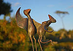 Click to see Y-A-PRT-DSC00130.JPG