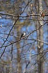 Click to see Y-AB-24-240MM-459.JPG