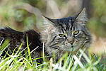 Click to see Y-AB-24-240MM-519.JPG