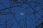 Click to see Y-AB-24-240MM-554.JPG