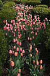 Click to see Y-DSC00344.JPG