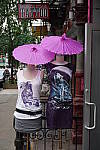 Click to see Y-DSC02829.JPG