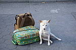 Click to see YD0286-KIT.JPG