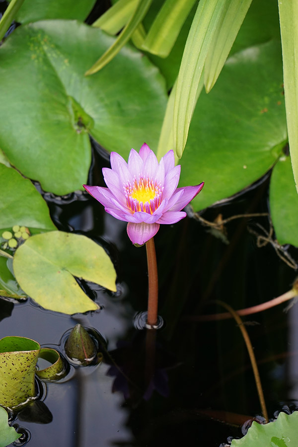 Sony A6000 -- sample image