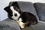 Click to see Y_DSC0002.JPG