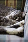 Click to see Y_DSC0046.JPG