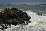 Click to see Y_DSC0101.JPG