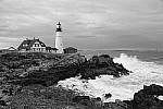 Click to see Y_DSC0116.JPG