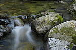 Click to see Y_DSC0253-ISO-100.JPG