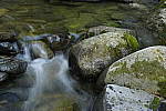Click to see Y_DSC0255-ISO-400.JPG