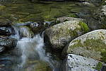Click to see Y_DSC0256-ISO-800.JPG