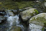 Click to see Y_DSC0257-ISO-1600.JPG