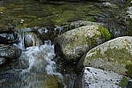 Click to see Y_DSC0258-ISO-3200.JPG