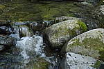 Click to see Y_DSC0259-ISO-6400.JPG