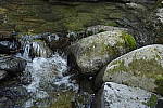 Click to see Y_DSC0260-ISO-12800.JPG
