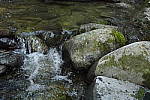 Click to see Y_DSC0261-ISO-25600.JPG