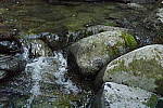 Click to see Y_DSC0262-ISO-51200.JPG