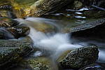 Click to see Y_DSC0263.JPG